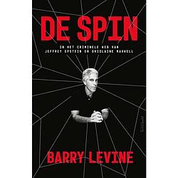 Foto van De spin