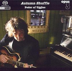 Foto van Autumn shuffle - lp (7392420820423)