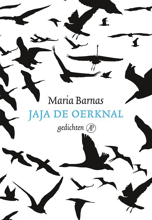 Foto van Jaja de oerknal - maria barnas - ebook (9789029587365)