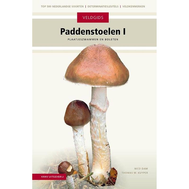 Foto van Paddenstoelen i