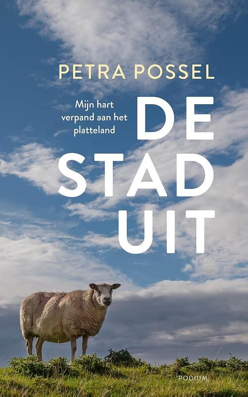 Foto van De stad uit - petra possel - ebook (9789057599644)