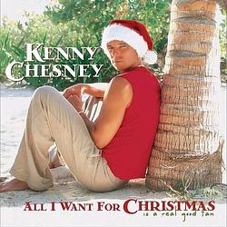 Foto van All i want for christmas is a real good tan - cd (0888430840225)