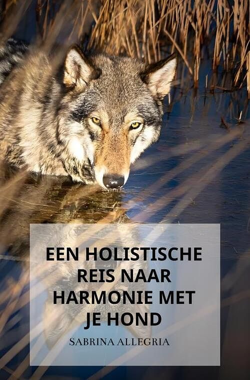 Foto van Een holistische reis naar harmonie met je hond - sabrina allegria - paperback (9789464856354)