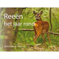 Foto van Reeën het jaar rond