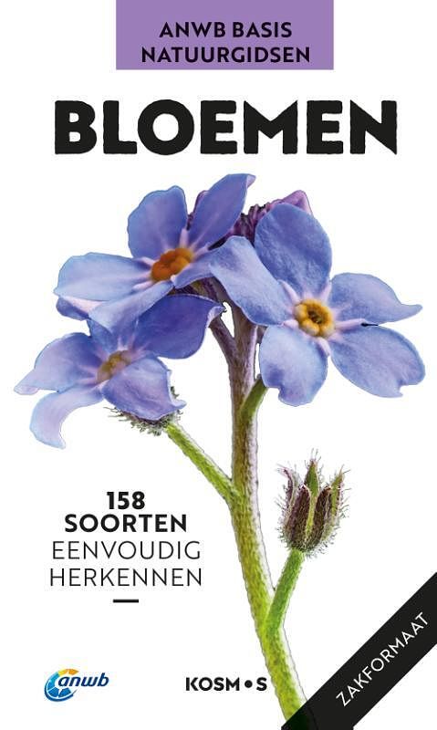 Foto van Bloemen - eva-maria dreyer - paperback (9789021595016)