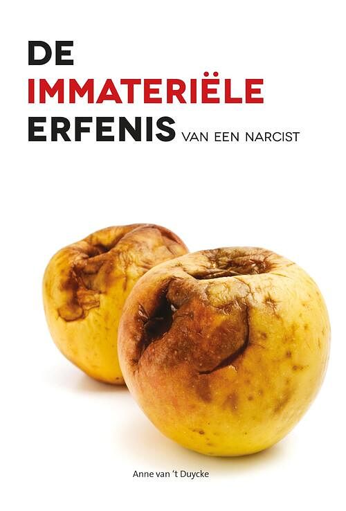 Foto van De immateriële erfenis van een narcist - anne van 'st duycke - ebook (9789463283373)