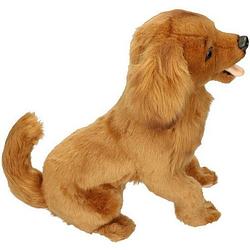 Foto van Knuffel golden retriever, 42 cm, hansa