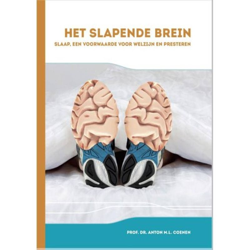 Foto van Het slapende brein