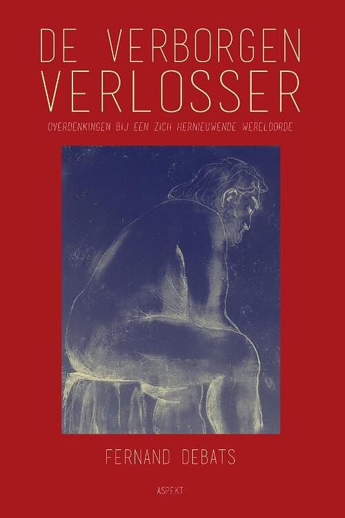 Foto van De verborgen verlosser - fernand debats - paperback (9789464870725)