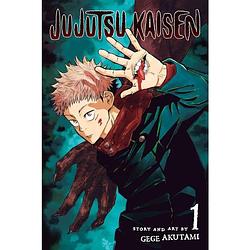 Foto van Jujutsu kaisen 1