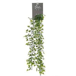Foto van Louis maes kunstplant blaadjes slinger klimop/hedera - groen/wit - 181 cm - kunstplanten
