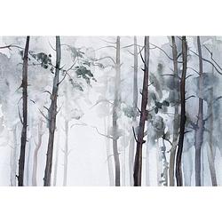 Foto van Wizard+genius watercolour forest vlies fotobehang 384x260cm 8-banen