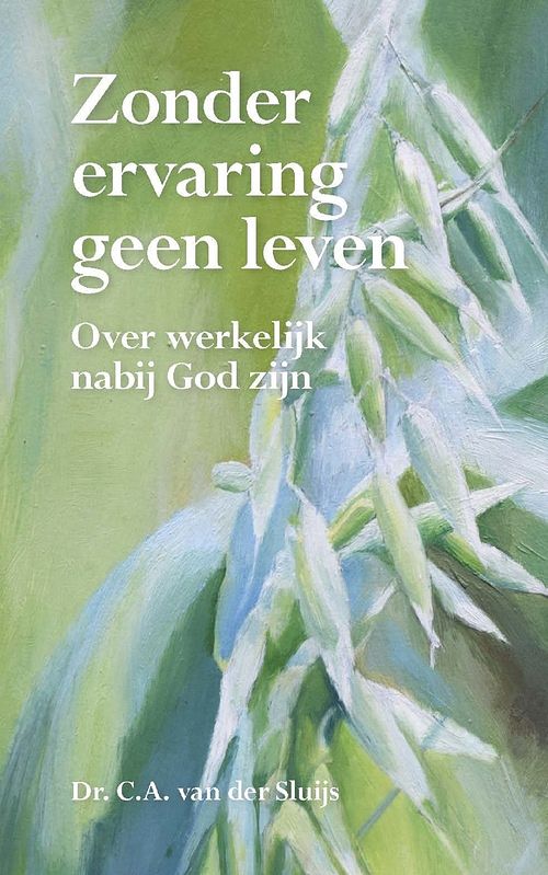 Foto van Zonder ervaring geen leven - dr. c.a. van der sluijs - ebook (9789402907971)