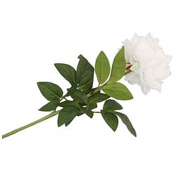 Foto van Dk design kunstbloem pioenroos - wit - zijde - 71 cm - kunststof steel - decoratie bloemen - kunstbloemen