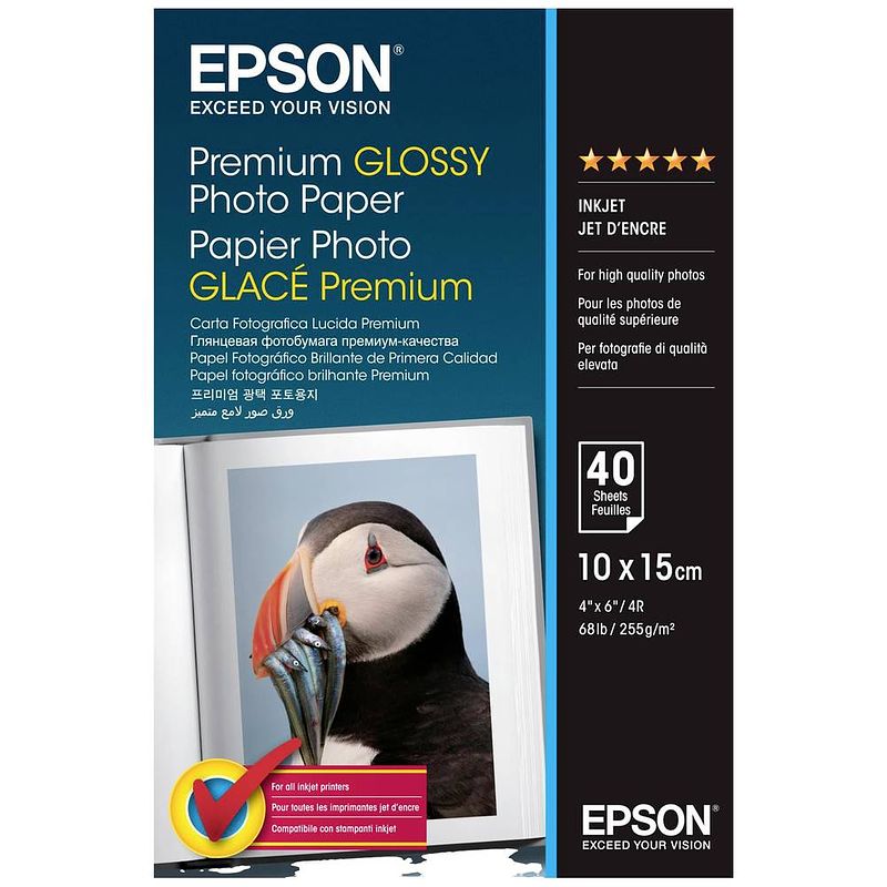 Foto van Epson premium glossy photo paper c13s042153 fotopapier 10 x 15 cm 255 g/m² 40 vellen hoogglans