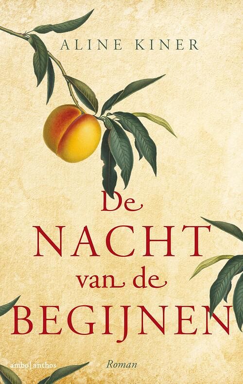 Foto van De nacht van de begijnen - aline kiner - ebook (9789026344138)