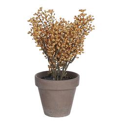 Foto van Mica decorations kunstplant astilbe 21 cm keramiek oranje