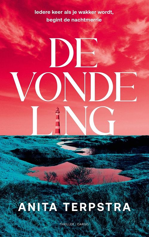 Foto van De vondeling - anita terpstra - ebook