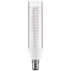 Foto van Paulmann 28890 led-lamp energielabel e (a - g) b15d ballon 9.5 w warmwit (ø x h) 36 mm x 165 mm 1 stuk(s)