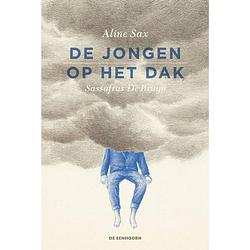 Foto van De jongen op het dak