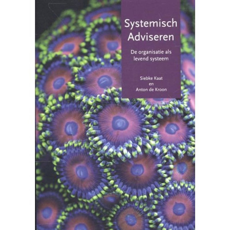 Foto van Systemisch adviseren