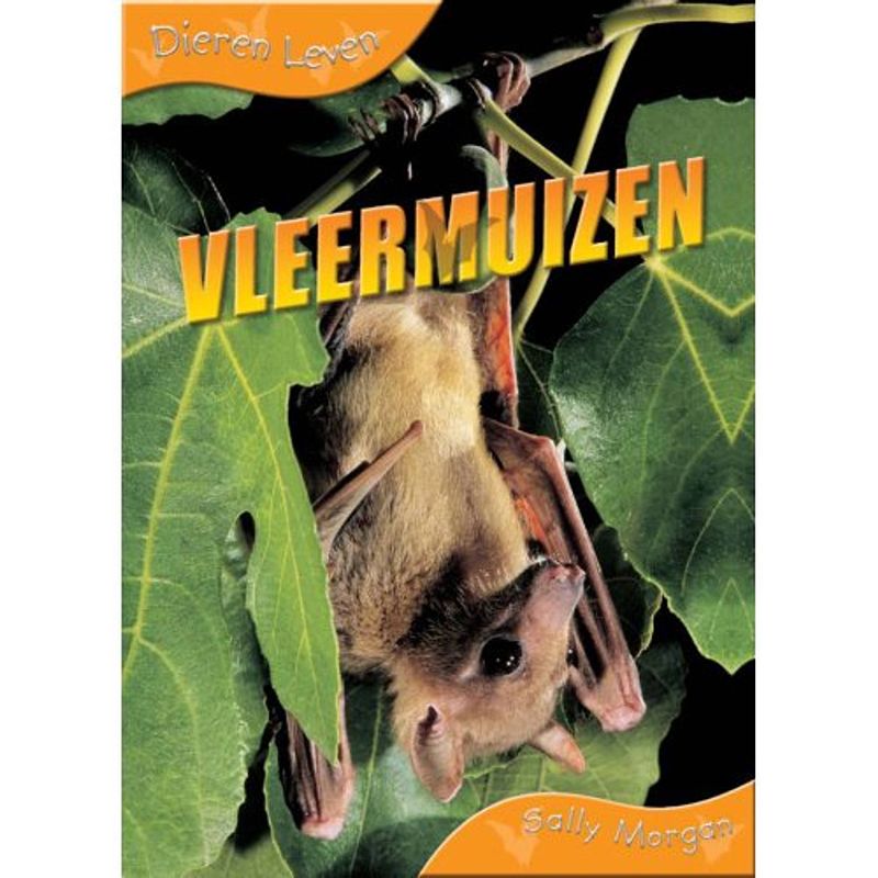 Foto van Vleermuizen - dierenleven