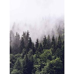 Foto van Wizard+genius foggy forest vlies fotobehang 192x260cm 4-banen