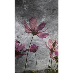 Foto van Dimex violet flower abstract fotobehang 150x250cm 2-banen