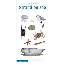 Foto van Minigids strand en zee - minigids