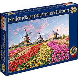 Foto van Tucker'ss fun factory hollandse molens en tulpen (1000)