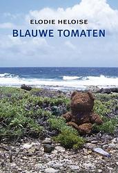 Foto van Blauwe tomaten - elodie heloise - paperback (9789493214965)