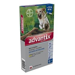 Foto van Advantix hond spot-on solution 400/2000