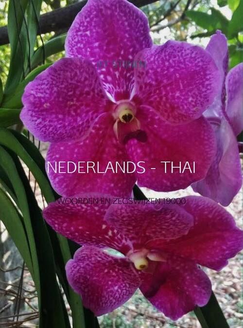 Foto van Nederlands - thai - jef stijnen - ebook (9789463673822)