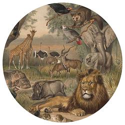 Foto van Wallart behangcirkel animals of africa 190 cm