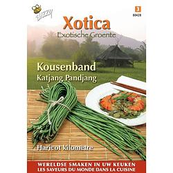 Foto van 3 stuks xotica kousenband