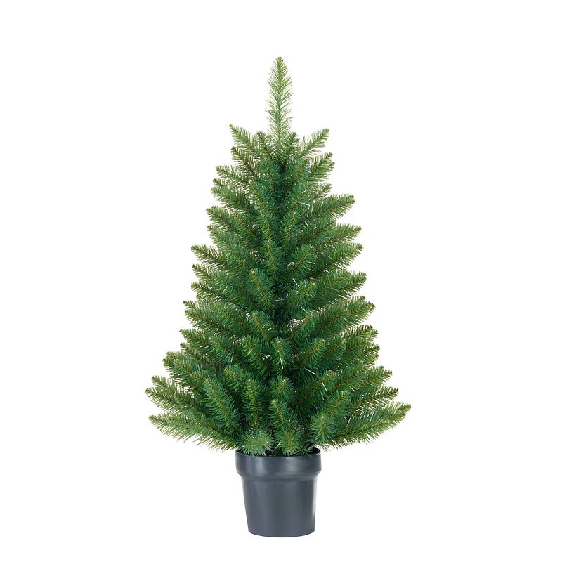 Foto van Kerstboom