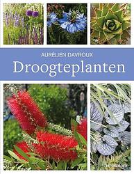 Foto van Droogteplanten - aurélien davroux - paperback (9789464710151)