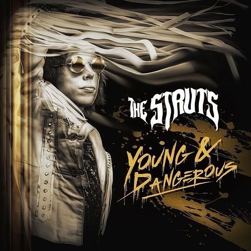 Foto van Young&dangerous - lp (0602577033193)