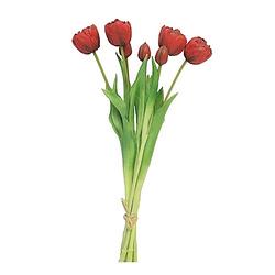 Foto van Nova nature - bosje tulpen sally double rood kunstbloem