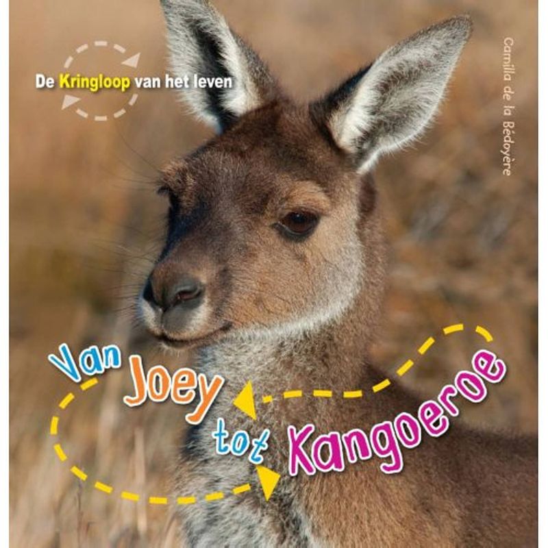 Foto van Van joey tot kangoeroe - de kringloop van het