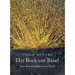 Foto van Het boek van besef