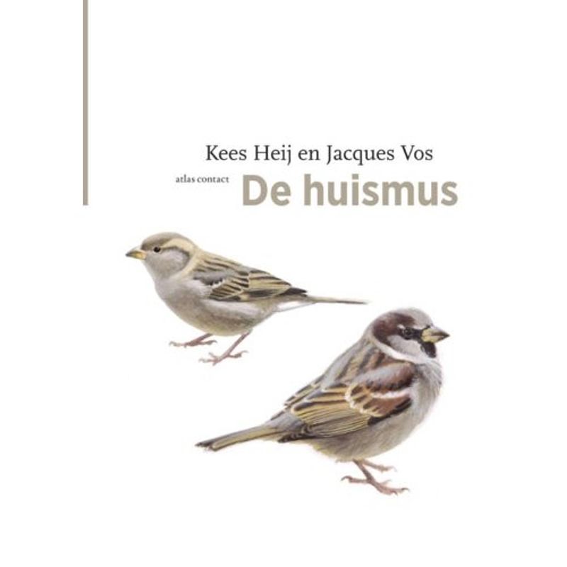 Foto van De huismus - de vogelserie