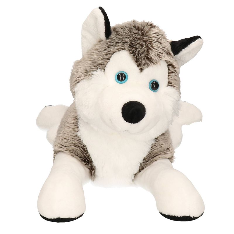 Foto van Pluche husky knuffel 43 cm - knuffel huisdieren