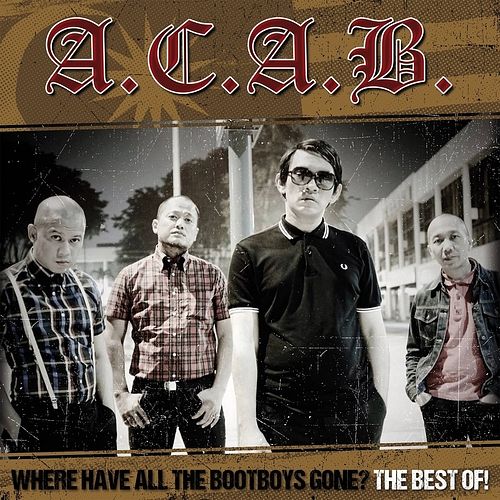 Foto van Where have all the bootboys gone/best of - cd (4260124282652)