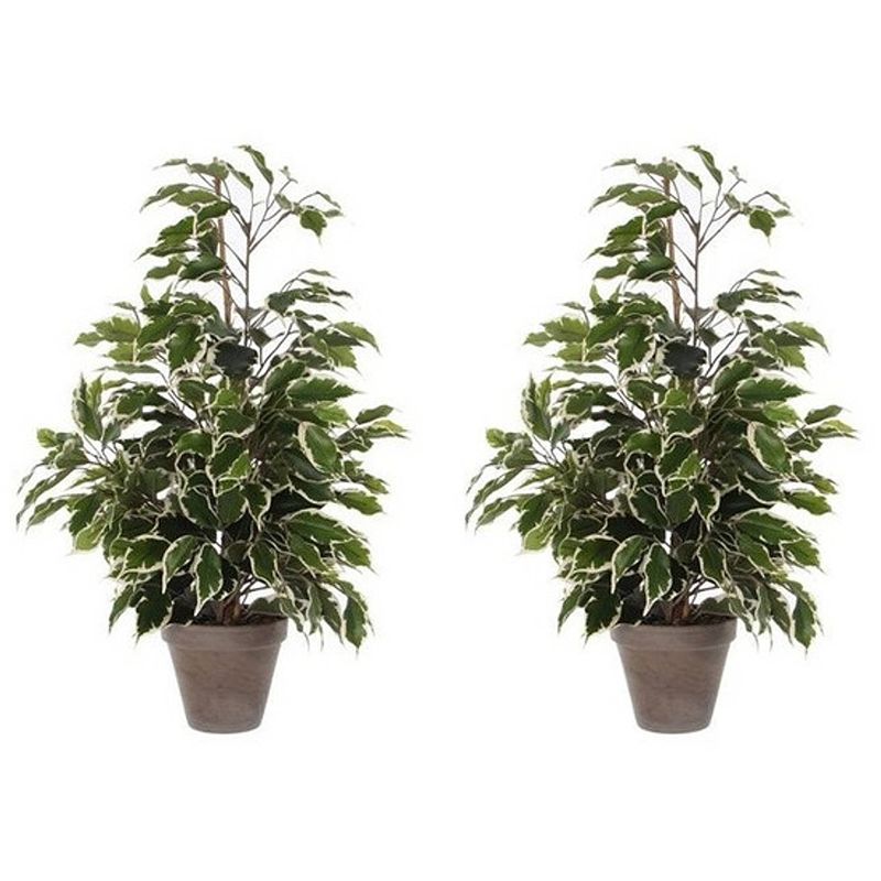 Foto van 2x groen/witte tropische ficus kunstplanten 65 cm voor binnen - kunstplanten