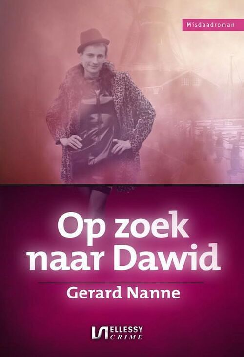 Foto van Op zoek naar dawid - gerard nanne - ebook (9789464495171)