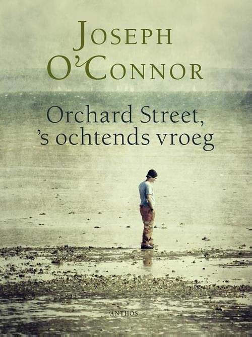 Foto van Orchard street, 's ochtends vroeg - joseph o'connor - ebook