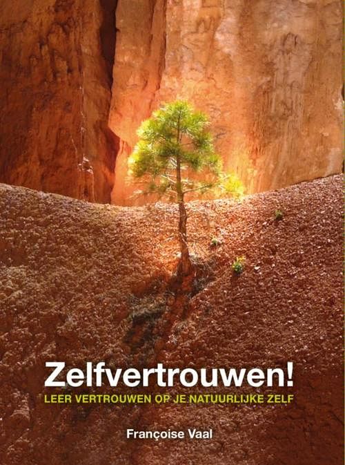 Foto van Zelfvertrouwen! - francoise vaal - ebook