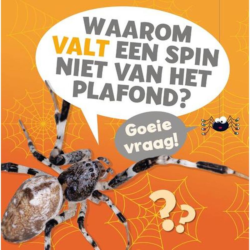 Foto van Waarom valt een spin niet van het plafond?