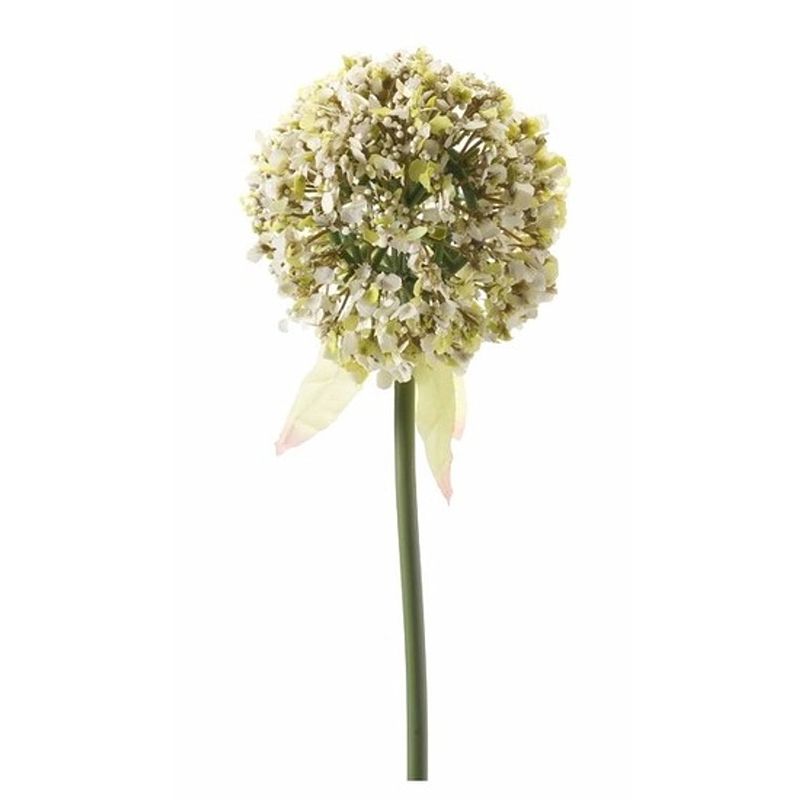 Foto van Kunstbloem sierui / allium wit 70 cm - kunstbloemen